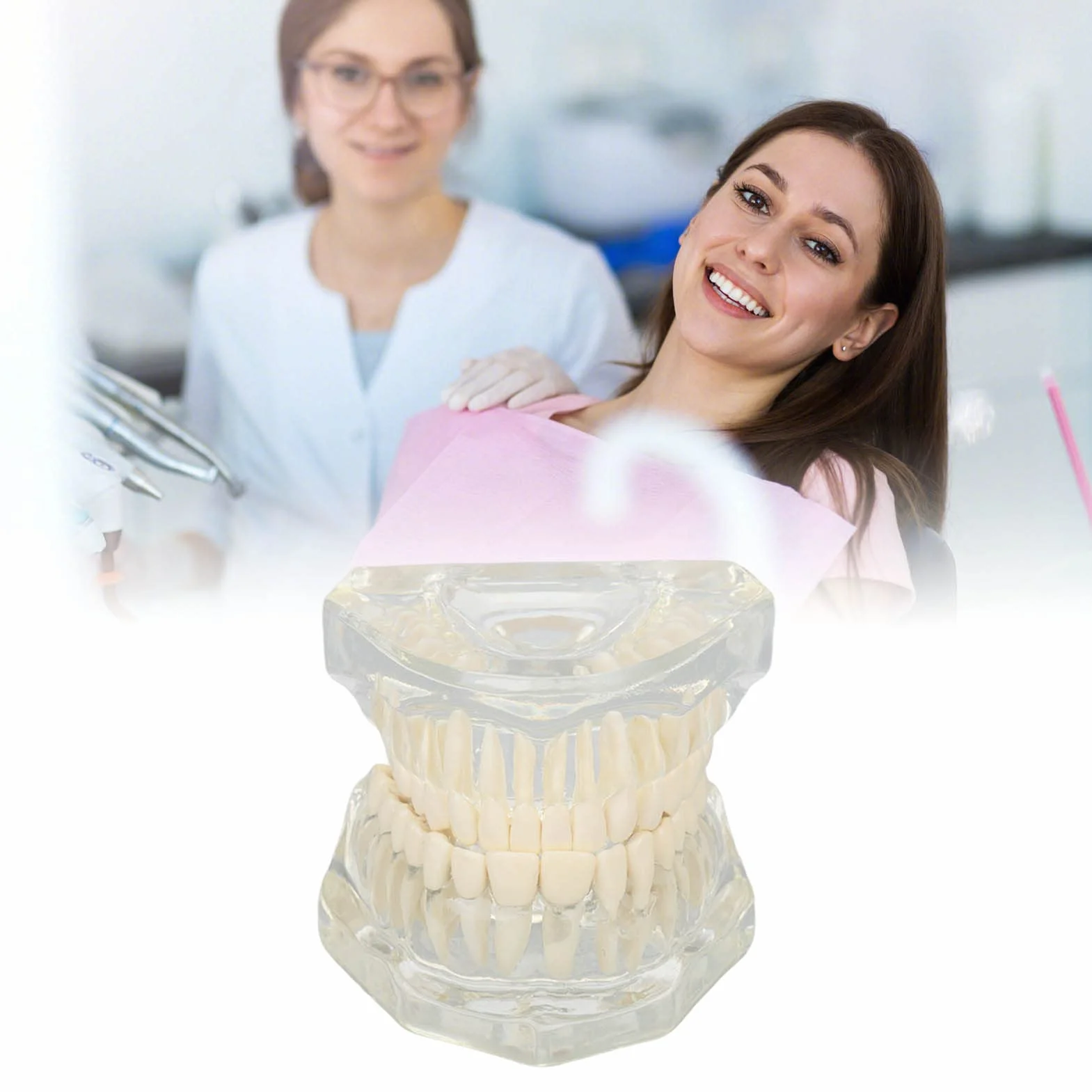 Dental Oral Typodont, Lernzahnmodell Mit Klarer Struktur, Standard-Zahnzahnmodell, Zahnmodell Kompatibel Für Zahnärzte, Lehrer Und Studenten