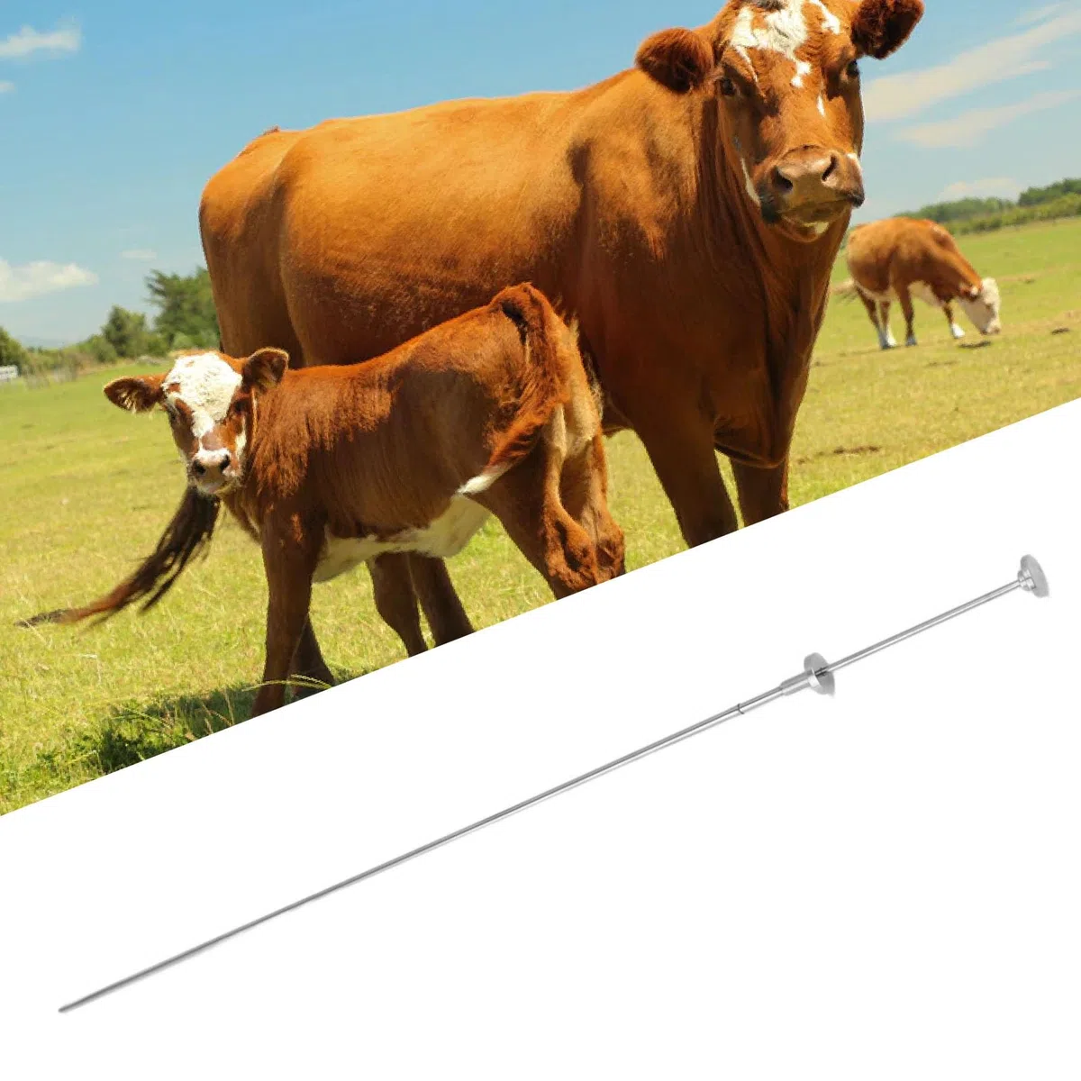 Topyond Besamungspistole Rinder, 304 Edelstahl, Werkzeug Zur Künstlichen Befruchtung Von Rindern Für Die Zucht, Ausziehbares Design, 467mm, Edelstahl Besamungspistole Kuh