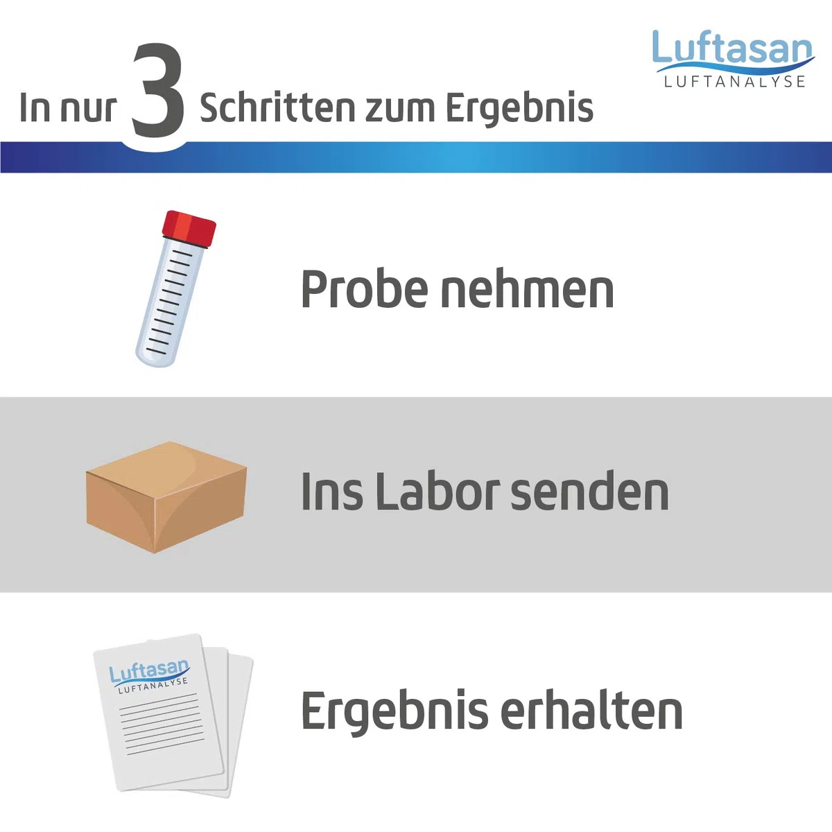 Schimmeltest Abklatschtest für die Wand – Probenahme-Set und professionelle Analyse im Labor